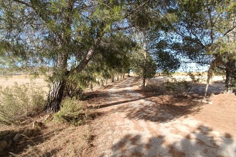 Landejendom i Yecla, Murcia, Yecla - € 195.000 | Ref: RP28 - foto 5